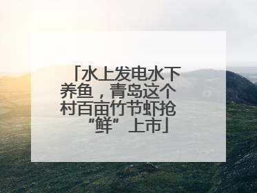 水上发电水下养鱼，青岛这个村百亩竹节虾抢“鲜”上市