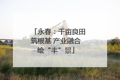 永春：千亩良田筑根基 产业融合绘“丰”景