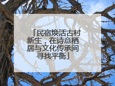 民宿焕活古村新生，在诗意栖居与文化传承间寻找平衡