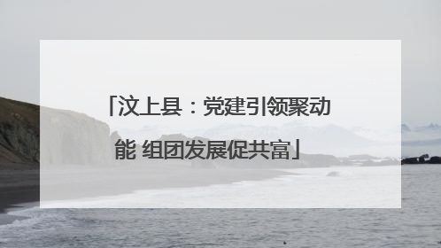 汶上县：党建引领聚动能 组团发展促共富
