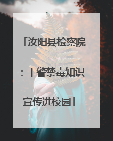 汝阳县检察院：干警禁毒知识宣传进校园