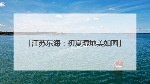江苏东海：初夏湿地美如画