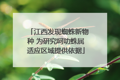 江西发现蜘蛛新物种 为研究呵叻蛛属适应区域提供依据