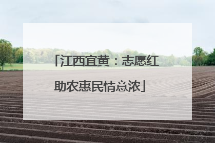 江西宜黄：志愿红助农惠民情意浓