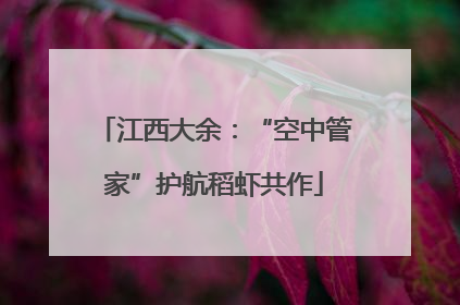 江西大余：“空中管家”护航稻虾共作