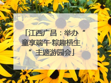 江西广昌：举办“童享端午·粽趣横生”主题游园会