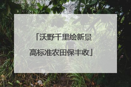 沃野千里绘新景 高标准农田保丰收