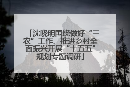 沈晓明围绕做好“三农”工作、推进乡村全面振兴开展“十五五”规划专题调研