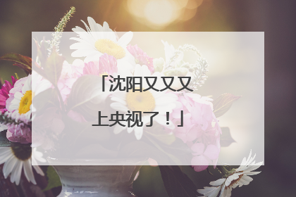 沈阳又又又上央视了！