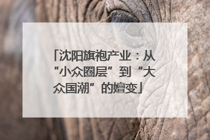 沈阳旗袍产业：从“小众圈层”到“大众国潮”的嬗变