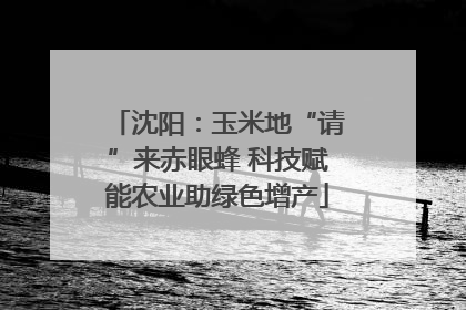 沈阳：玉米地“请”来赤眼蜂 科技赋能农业助绿色增产