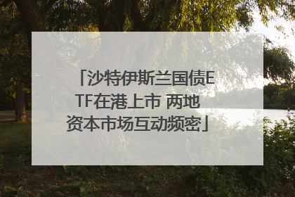 沙特伊斯兰国债ETF在港上市 两地资本市场互动频密