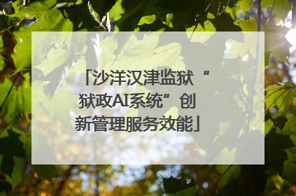 沙洋汉津监狱“狱政AI系统”创新管理服务效能