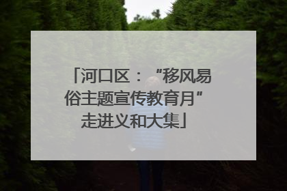 河口区：“移风易俗主题宣传教育月”走进义和大集