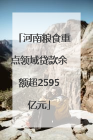 河南粮食重点领域贷款余额超2595亿元