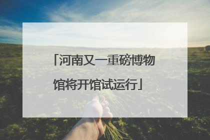 河南又一重磅博物馆将开馆试运行