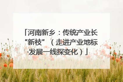 河南新乡：传统产业长“新枝”（走进产业地标·发展一线探变化）