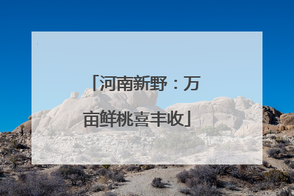 河南新野：万亩鲜桃喜丰收