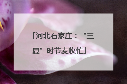 河北石家庄：“三夏”时节麦收忙