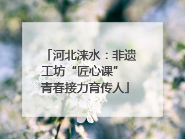 河北涞水：非遗工坊“匠心课” 青春接力育传人
