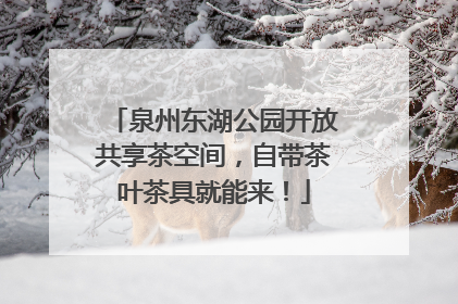 泉州东湖公园开放共享茶空间，自带茶叶茶具就能来！