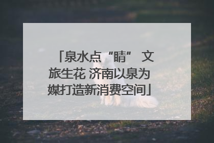 泉水点“睛” 文旅生花 济南以泉为媒打造新消费空间