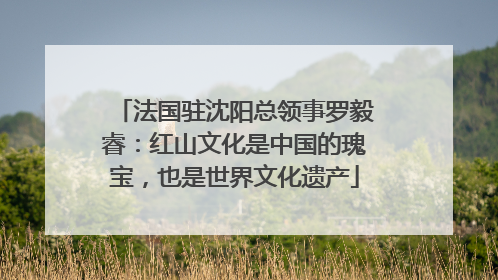 法国驻沈阳总领事罗毅睿：红山文化是中国的瑰宝，也是世界文化遗产