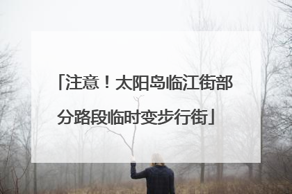注意！太阳岛临江街部分路段临时变步行街