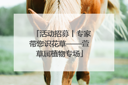 活动招募丨专家带您识花草——萱草属植物专场