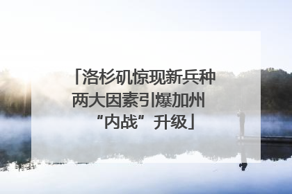 洛杉矶惊现新兵种 两大因素引爆加州“内战”升级