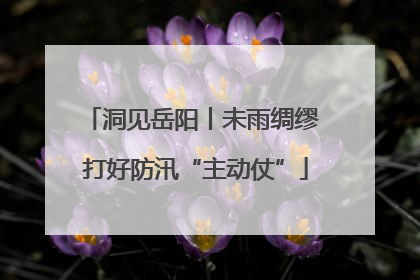 洞见岳阳丨未雨绸缪 打好防汛“主动仗”