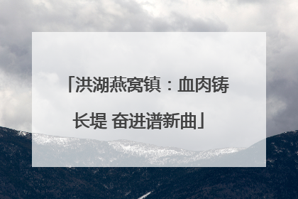 洪湖燕窝镇：血肉铸长堤 奋进谱新曲