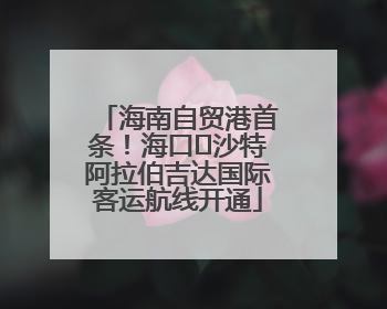 海南自贸港首条！海口⇌沙特阿拉伯吉达国际客运航线开通