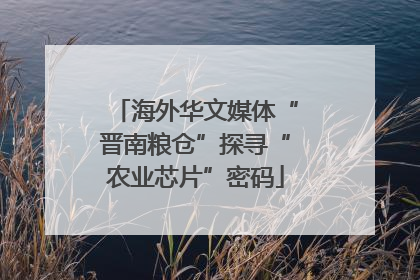 海外华文媒体“晋南粮仓”探寻“农业芯片”密码