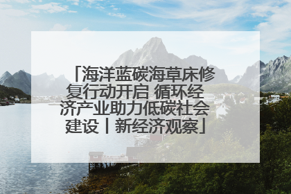 海洋蓝碳海草床修复行动开启 循环经济产业助力低碳社会建设丨新经济观察