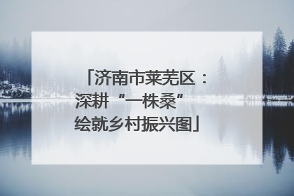 济南市莱芜区：深耕“一株桑” 绘就乡村振兴图