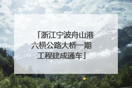 浙江宁波舟山港六横公路大桥一期工程建成通车