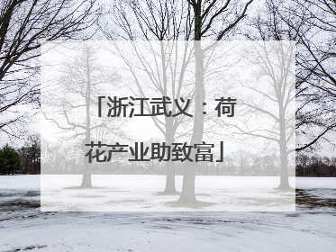 浙江武义：荷花产业助致富