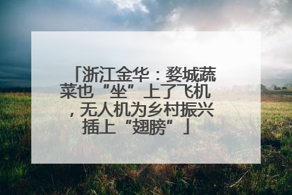 浙江金华：婺城蔬菜也“坐”上了飞机，无人机为乡村振兴插上“翅膀”