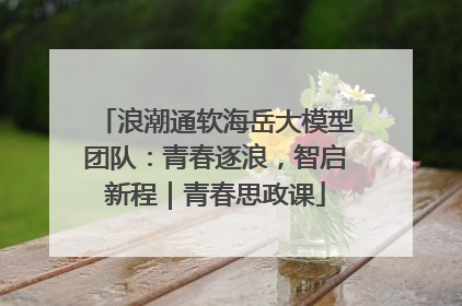 浪潮通软海岳大模型团队：青春逐浪，智启新程｜青春思政课