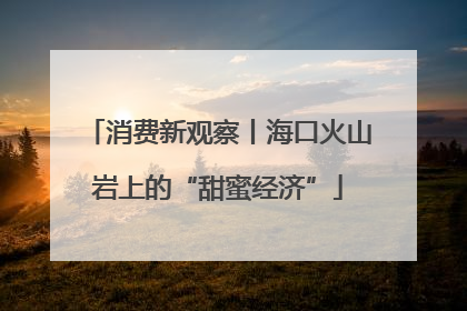消费新观察丨海口火山岩上的“甜蜜经济”