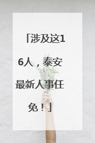 涉及这16人，泰安最新人事任免！