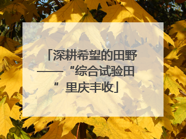 深耕希望的田野——“综合试验田”里庆丰收