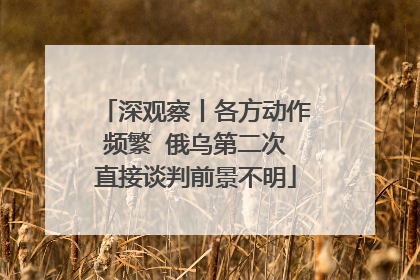 深观察丨各方动作频繁  俄乌第二次直接谈判前景不明