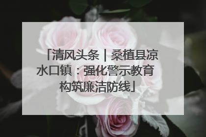 清风头条｜桑植县凉水口镇：强化警示教育 构筑廉洁防线