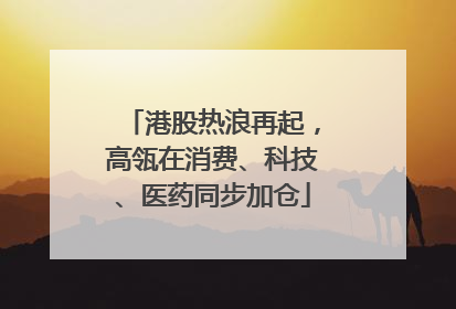 港股热浪再起，高瓴在消费、科技、医药同步加仓