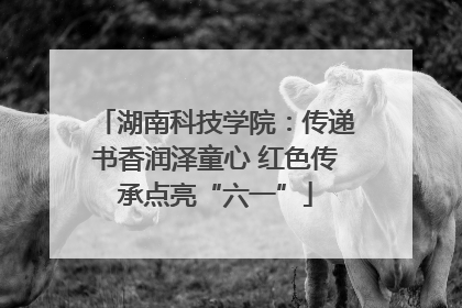 湖南科技学院：传递书香润泽童心 红色传承点亮“六一”
