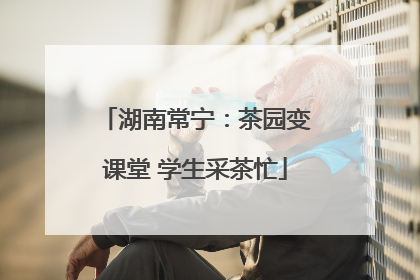 湖南常宁：茶园变课堂 学生采茶忙