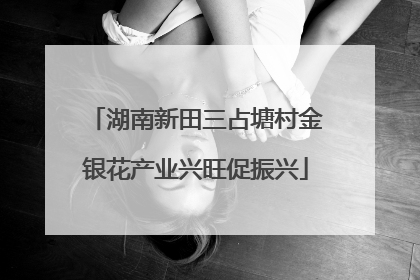 湖南新田三占塘村金银花产业兴旺促振兴