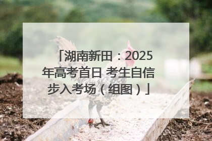 湖南新田：2025年高考首日 考生自信步入考场（组图）